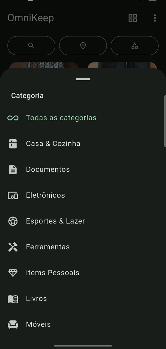 Seletor de categoria aberto sobre a grade de fotos, com a lista de categorias do inventário